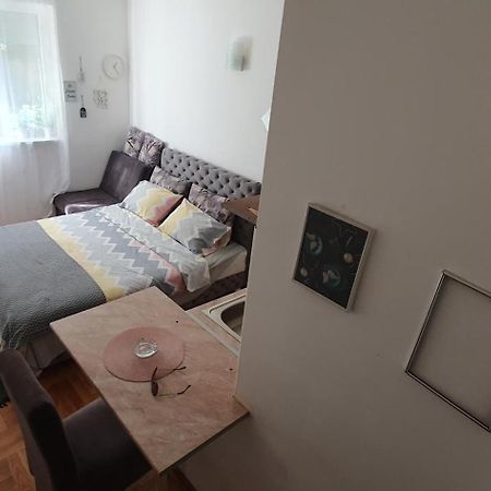 Studio Dunja Vrnjačka Banja Exteriör bild