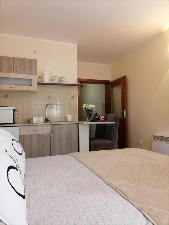 Studio Dunja Vrnjačka Banja Exteriör bild