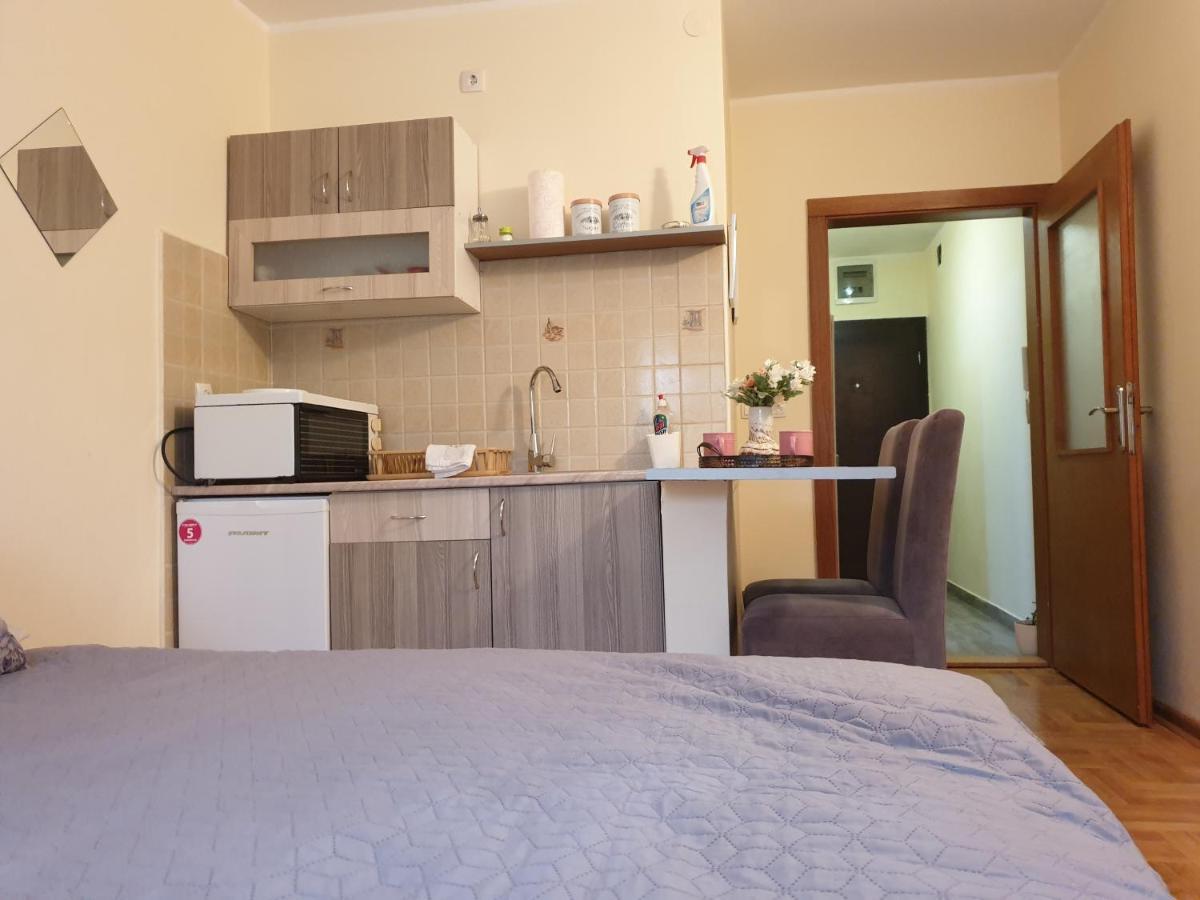 Studio Dunja Vrnjačka Banja Exteriör bild