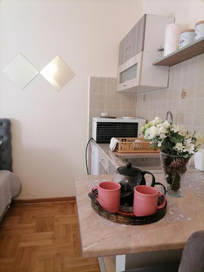 Studio Dunja Vrnjačka Banja Exteriör bild