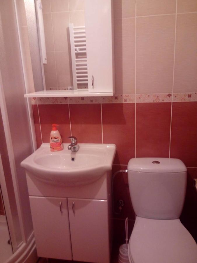 Studio Dunja Vrnjačka Banja Exteriör bild