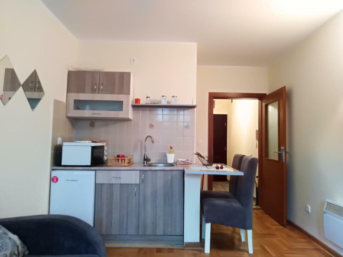 Studio Dunja Vrnjačka Banja Exteriör bild
