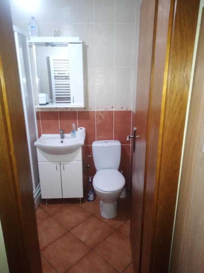 Studio Dunja Vrnjačka Banja Exteriör bild